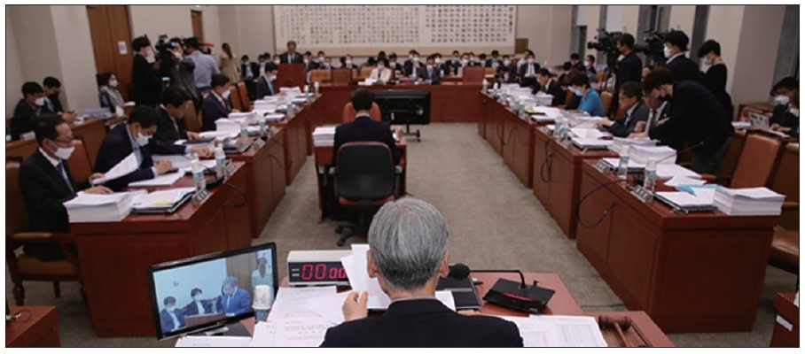 지난달 29일 열린 국회 법제사법위원회 전체회의 모습 (사진:연합뉴스)